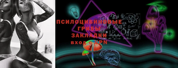 PSILOCYBIN Абаза