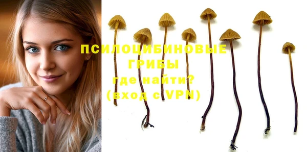 PSILOCYBIN Абаза